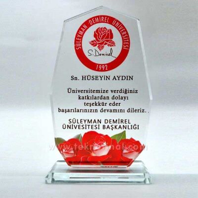 Süblimasyon Dokuzgen Cam Kristal Plaket - 2